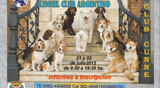 Imagen destacada del artículo «Exposición Mundial»